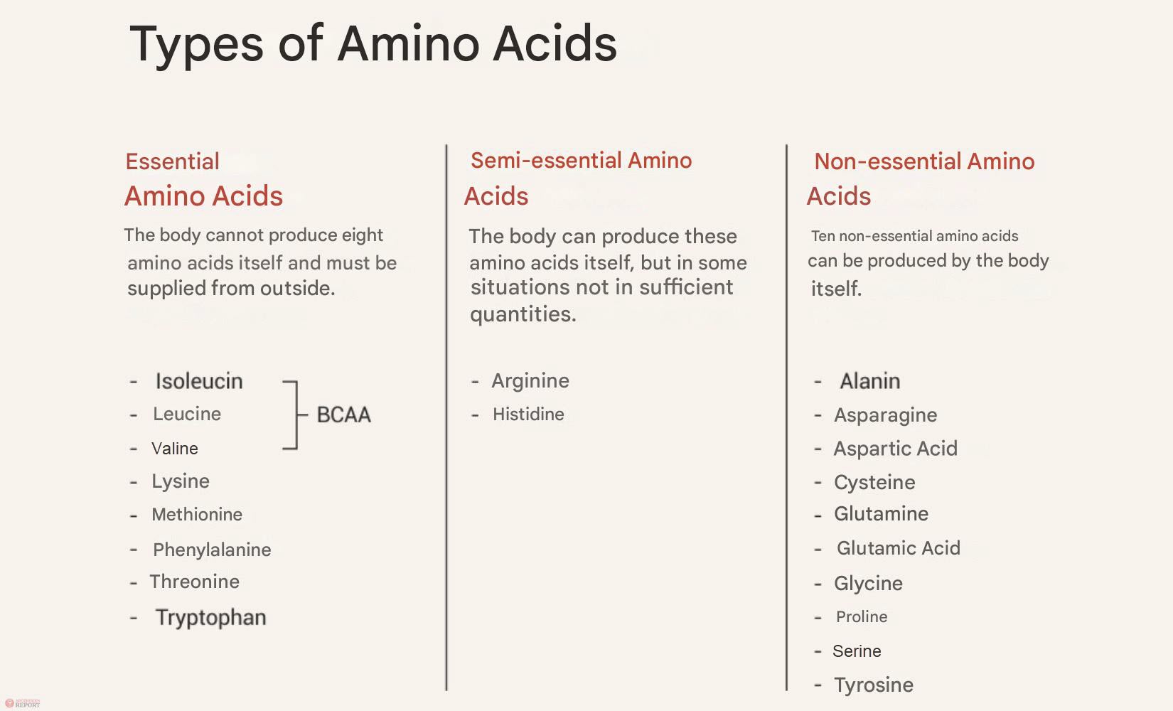 Hashimoto Img. 4 en Infographic titled “Types of Amino Acids” presenting three categories:
1. Essential Amino Acids – Eight amino acids the body cannot produce and must obtain from external sources. Includes: Isoleucin, Leucine, Valine (grouped as BCAA), Lysine, Methionine, Phenylalanine, Threonine, Tryptophan.
2. Semi-essential Amino Acids – Arginine and Histidine, which the body can produce, but sometimes not in sufficient amounts.
3. Non-essential Amino Acids – Ten amino acids that the body can synthesize itself: Alanine, Asparagine, Aspartic Acid, Cysteine, Glutamine, Glutamic Acid, Glycine, Proline, Serine, and Tyrosine.