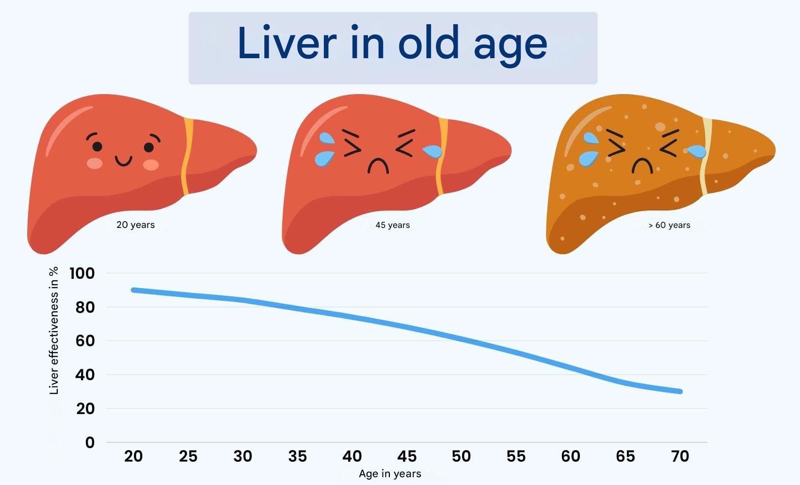The Top 5 Liver Supplements in 2025 (6)