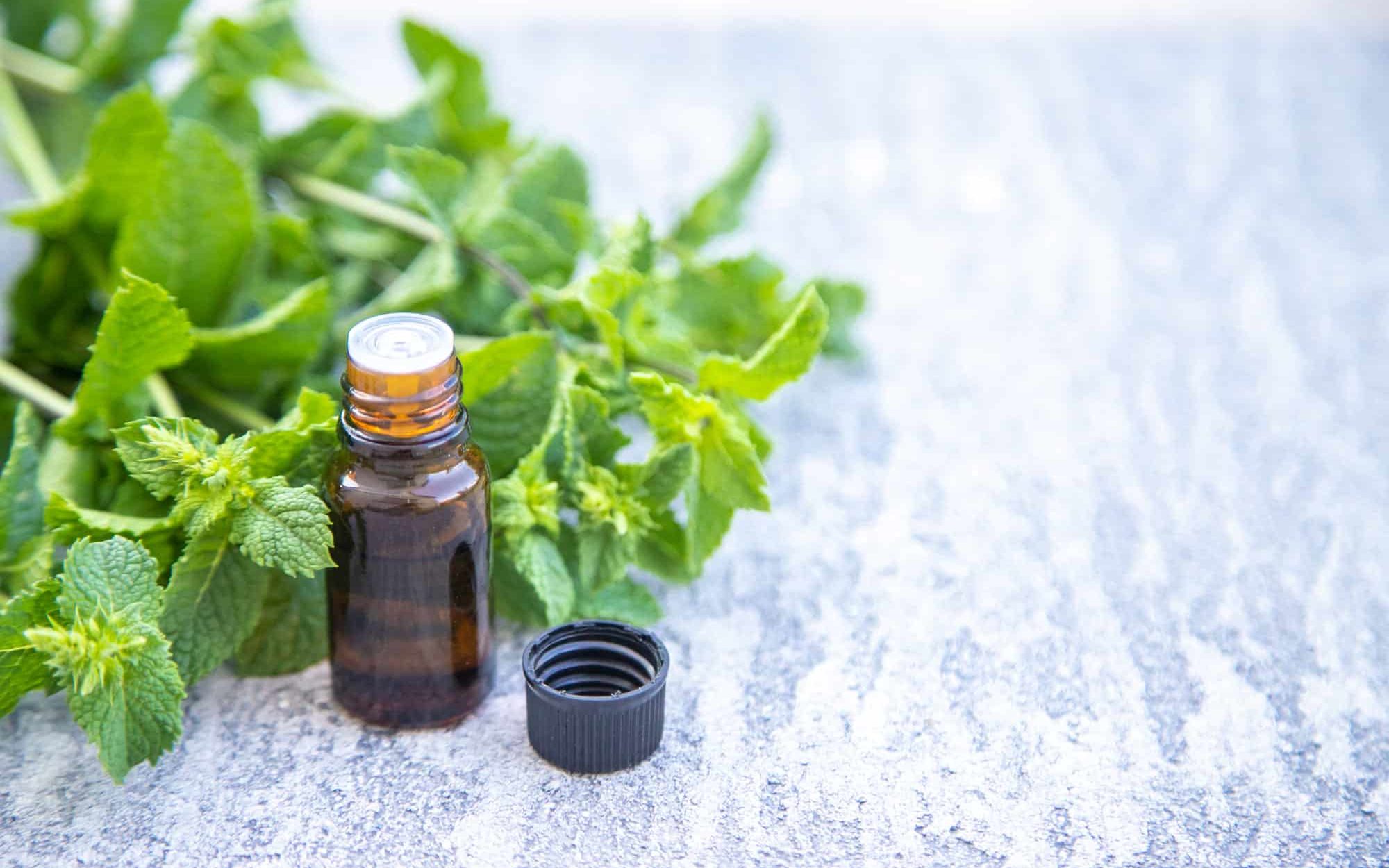Herbal Medicine Summit